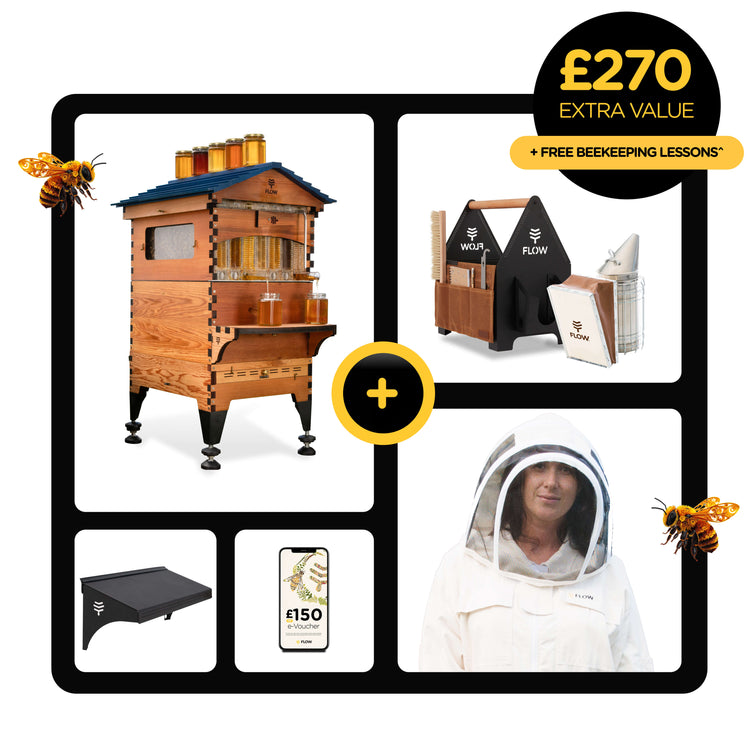 Deluxe Black Friday Bundle