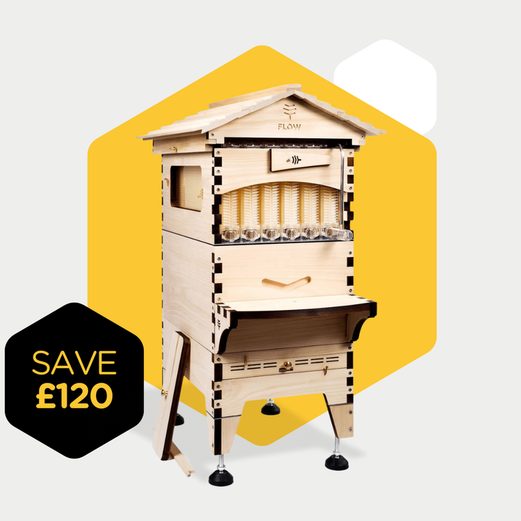 Flow Hive 2+ Scratch & Dent