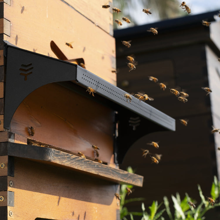 Deluxe Black Friday Bundle