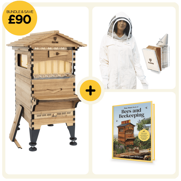 Basic Starter Bundle