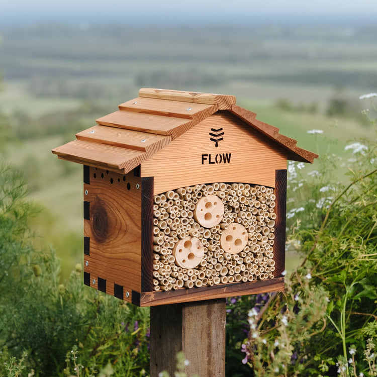 Flow Pollinator House