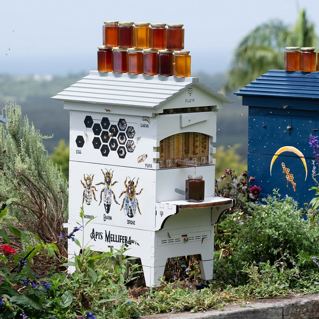 Asb Hive Beekeeping for beginners - Flow Hive UK