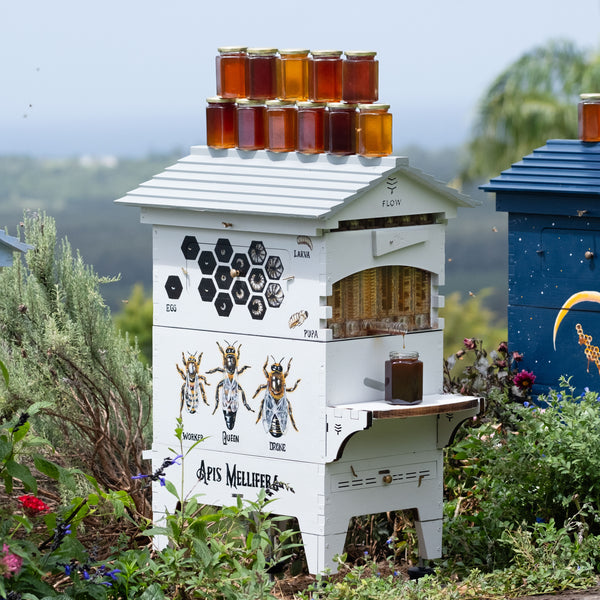Flow Hive 2 | Honey straight from the beehive - Flow Hive UK