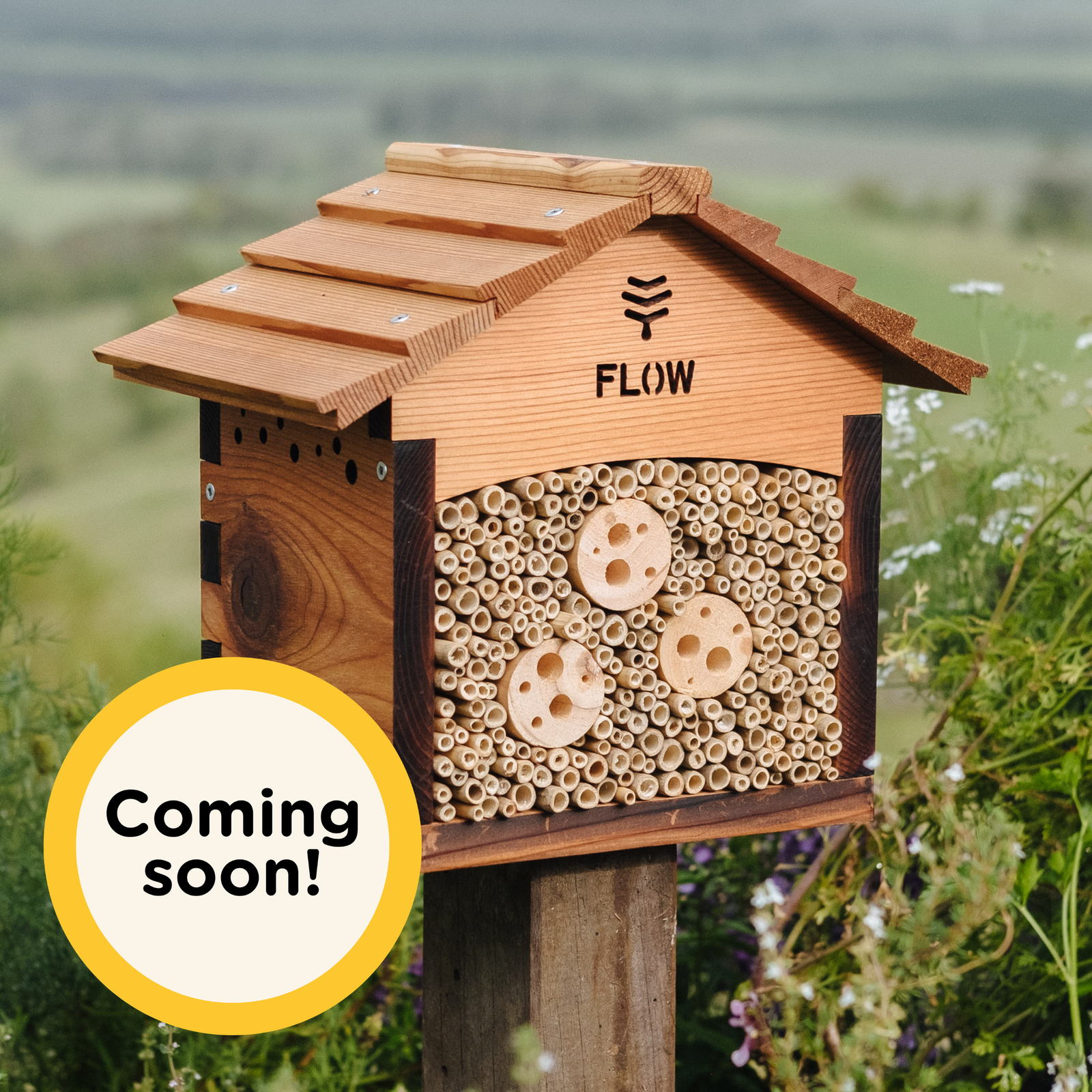 Flow Pollinator House