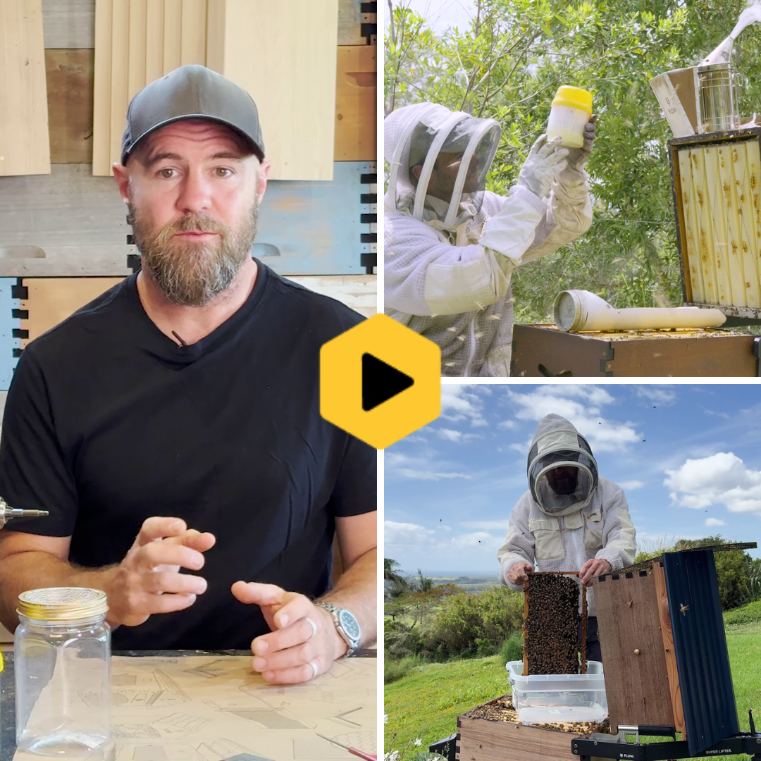 Summer pest management
