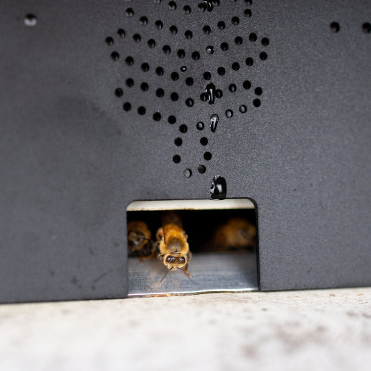 Flow All Weather Upgrade Kit