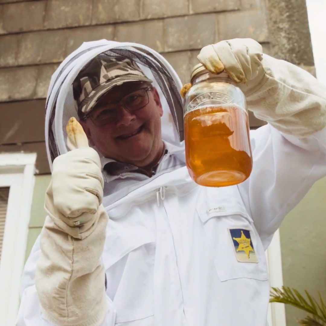 Beekeeping with Cornish black bees