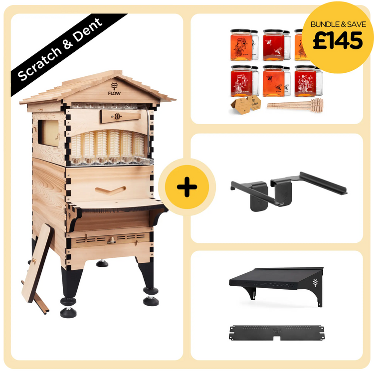 Scratch & Dent  Deluxe Beek Bundle
