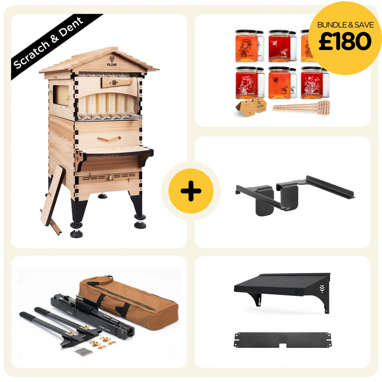 Scratch & Dent Ultimate Beek Bundle