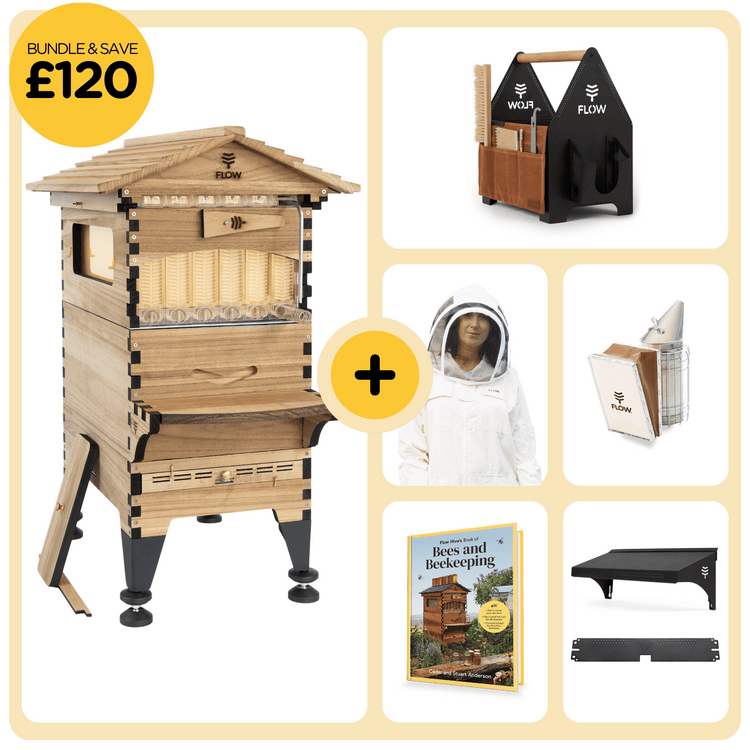 Deluxe Starter Bundle