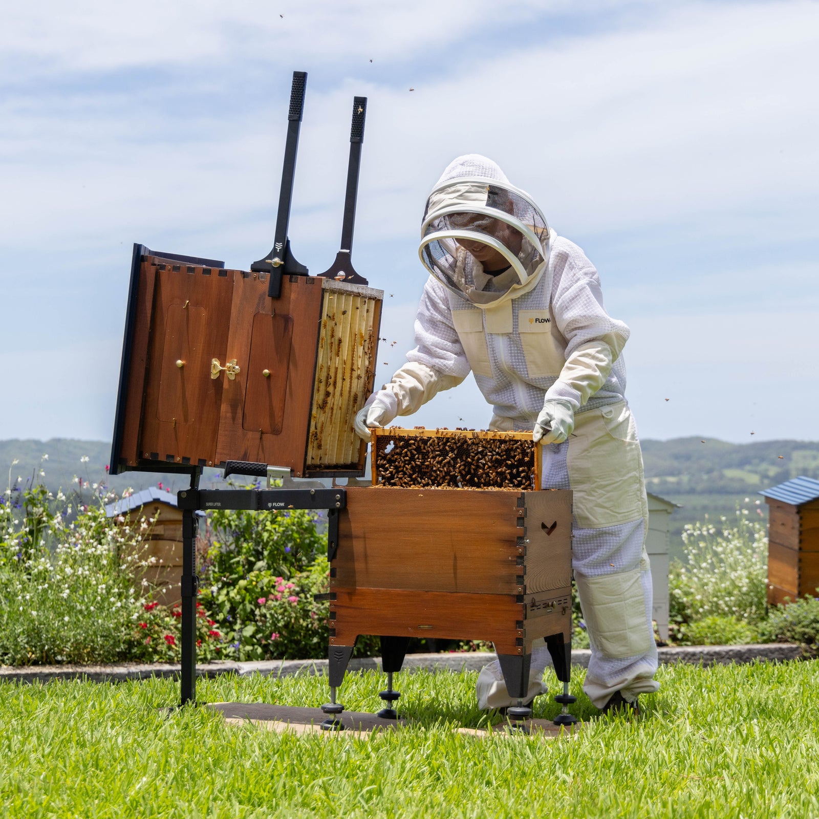 44619651973306,44619651940538