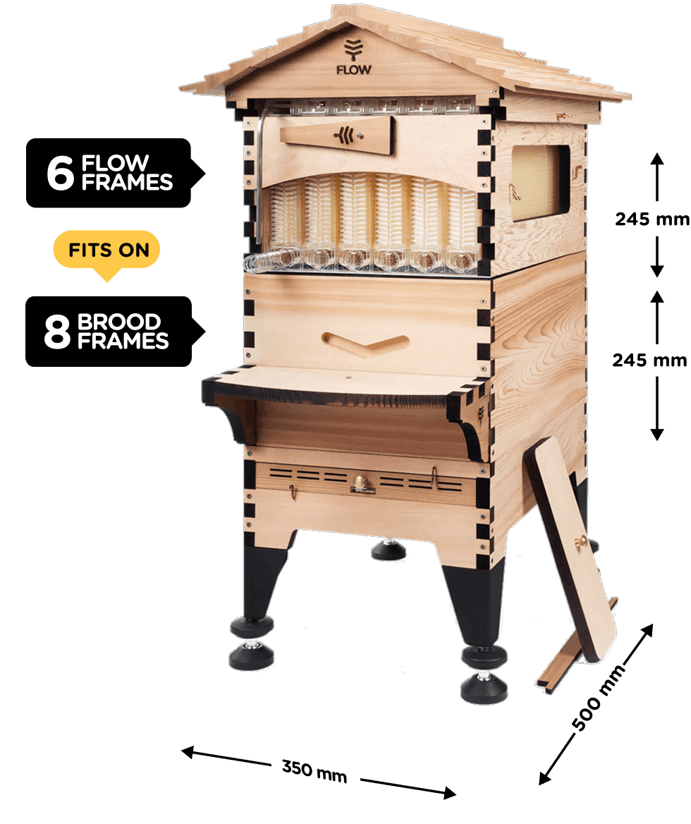 Flow Hive 6 Frame