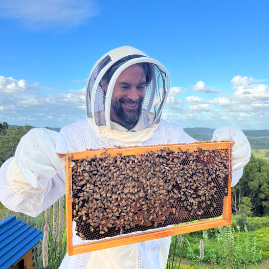thumbnail image 2 of Beepro Small Bee Jacket With Ventilated Round Veil & Gloves – Beekeeping Bundle 2 of 2