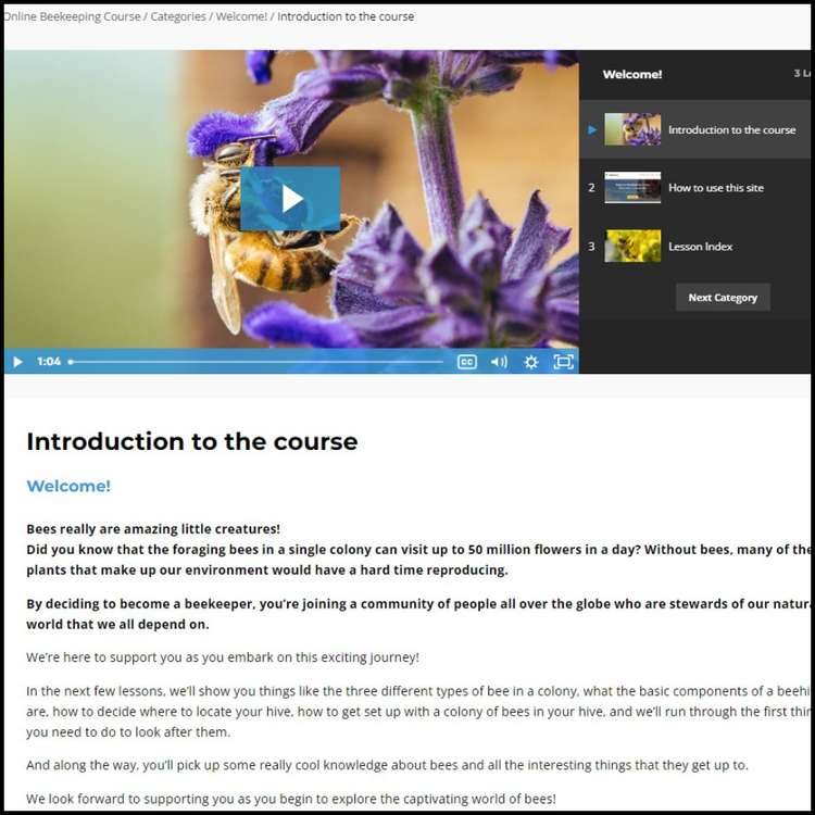 Online beekeeping course - monthly subscription