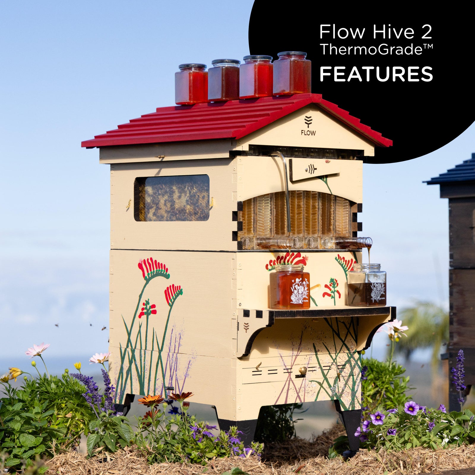 Product walkthrough video